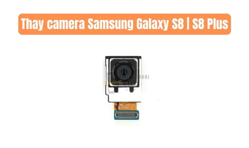 | Tháng 1 2026 Lời kết