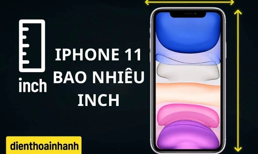 iPhone 11 Bao Nhiêu Inch? So Sánh Kích Thước Các Phiên Bản