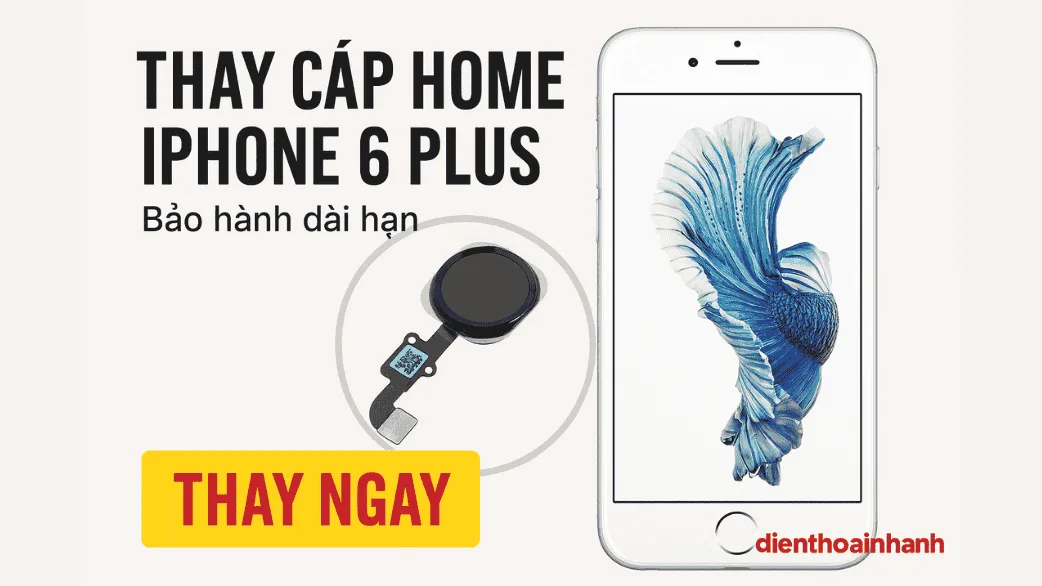 | Tháng mười một 2025 Thay Cáp Home iPhone 6 Plus Uy Tín Tại Điện Thoại Nhanh