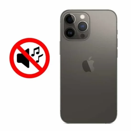 Thay Loa Ngoài iPhone 13 Pro