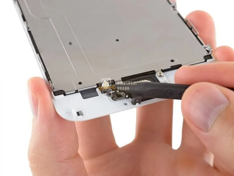 | Tháng mười một 2025