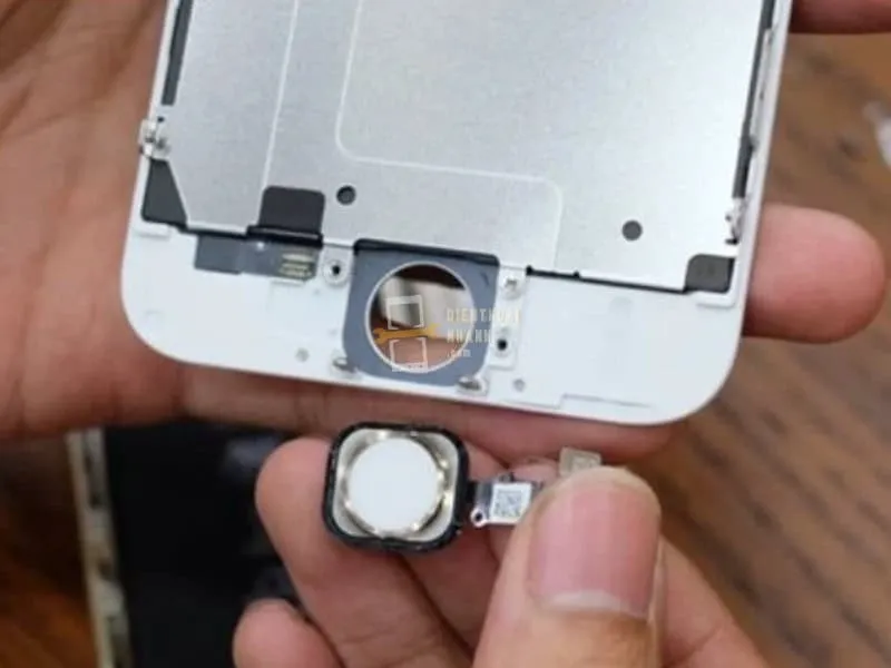 | Tháng mười một 2025 Thay cáp home iPhone 6 Plus có làm mất dữ liệu không?