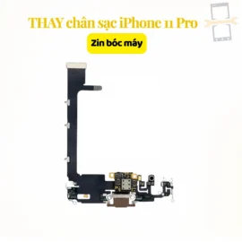 Thay chân sạc iPhone 11 Pro zin bóc máy