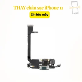 Thay chân sạc iPhone 11 zin bóc máy
