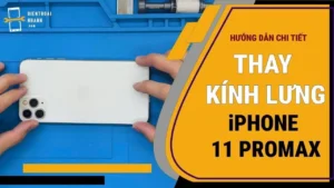 Thay Kính Lưng iPhone 11 Pro Max