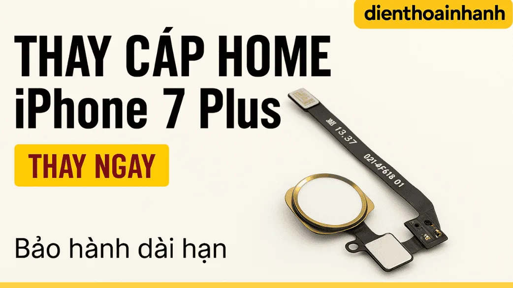 Bảo Hành Và Hậu Mãi Sau Khi Thay Cáp Home Iphone 7 Plus