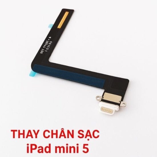 Thay Chân Sạc iPad Mini 5