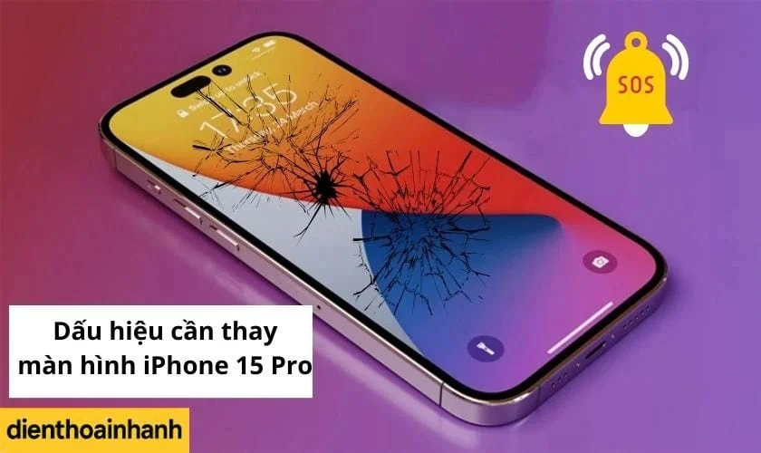 | Tháng mười một 2025