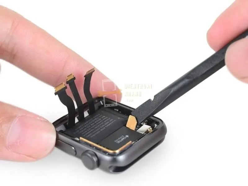 Tổng Quan Về Main Hiển Thị Trên Apple Watch