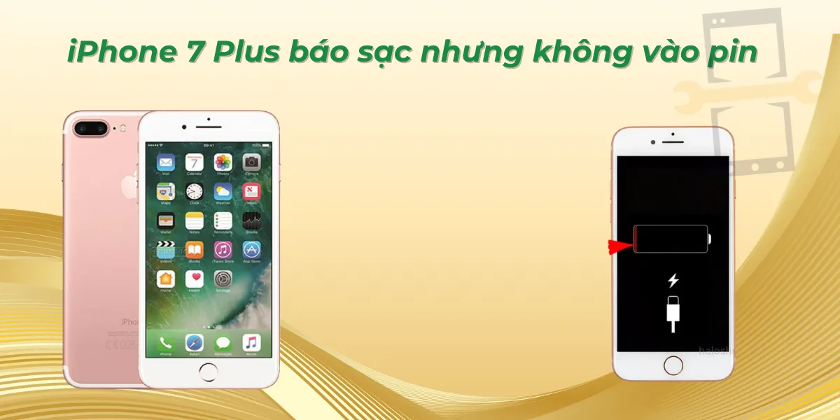 iPhone 7 plus báo sạc nhưng không vào pin