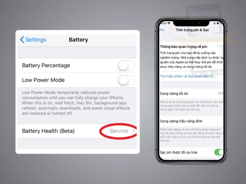 Pin dịch vụ iPhone là gì