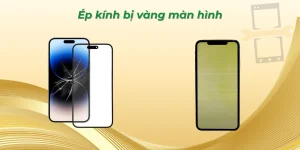 Ép kính bị vàng màn hình