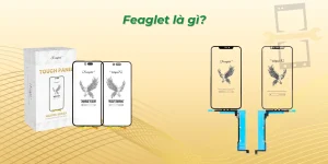 Feaglet là gì? 