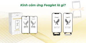 Kính cảm ứng Feaglet là gì