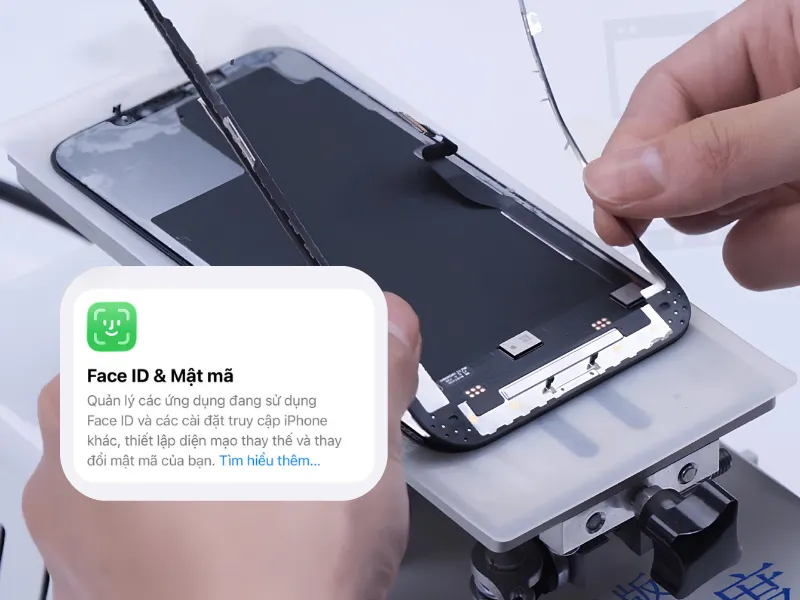 Vì sao ép kính có thể làm mất Face ID? 