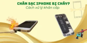 Chân sạc iPhone bị cháy? Cách xử lý an toàn, nhanh chóng