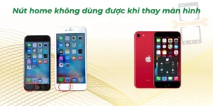 Nút home không dùng được khi thay màn hình