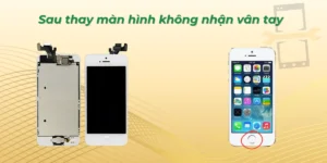 Sau thay màn hình không nhận vân tay