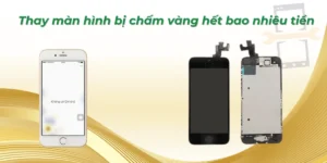 Thay màn hình bị chấm vàng hết bao nhiêu tiền