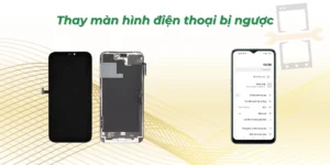 Thay màn hình điện thoại bị ngược