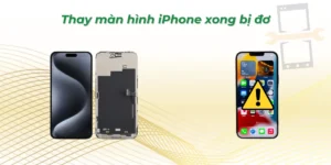 Thay màn hình iPhone xong bị đơ