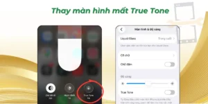 Thay màn hình mất True Tone
