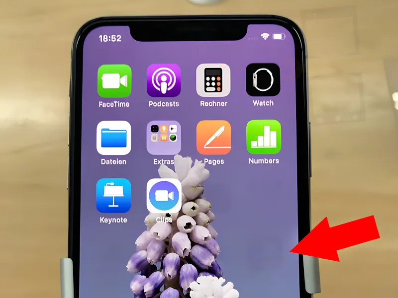 Cách kiểm tra lỗi màn hình iPhone X