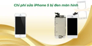 Chi phí sửa iPhone 5 bị đen màn hình