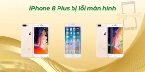 iPhone 8 Plus bị lỗi màn hình