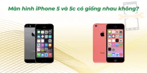 Màn hình iPhone 5 và 5c có giống nhau không