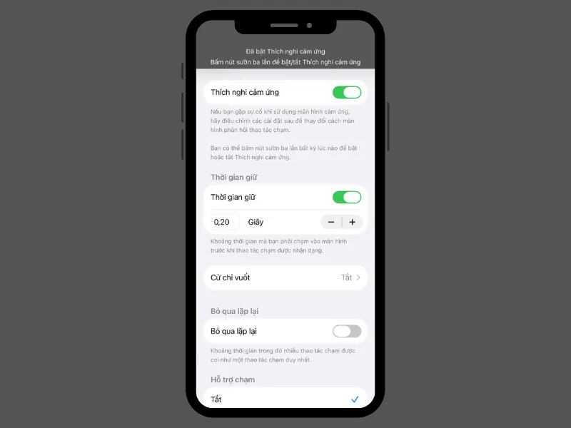 Các chức năng chính của Thích nghi cảm ứng iPhone